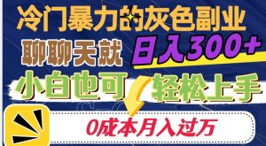 冷门暴利的副业项目，聊聊天就能日入300+，0成本月入过万【揭秘】-一米创业记