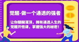 觉醒-做一个通透的强者，让你醍醐灌顶，拥有通透人生的觉醒开悟课，掌握强大的秘密！-一米创业记