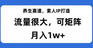 养生赛道，素人IP打造，流量很大，可矩阵，月入1w+【揭秘】-一米创业记