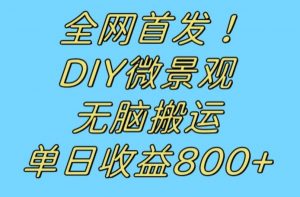 全网首发冷门赛道！DIY微景观，无脑搬运视频，日收益800+【揭秘】-一米创业记
