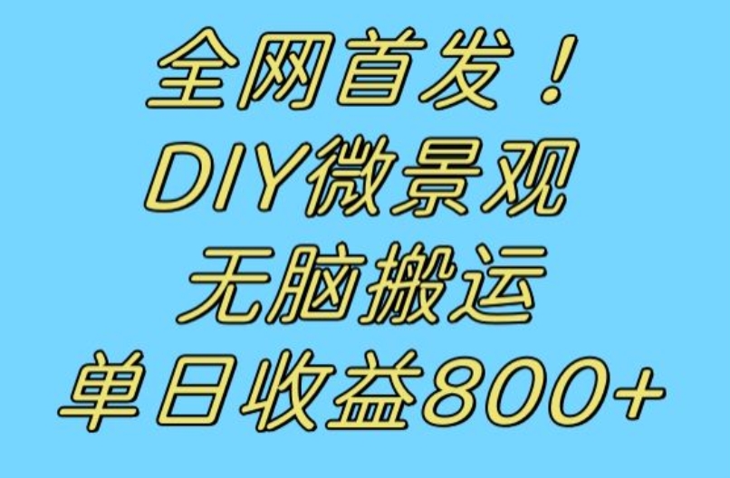 全网首发冷门赛道!DIY微景观,无脑搬运视频,日收益800+【揭秘】-一米创业记