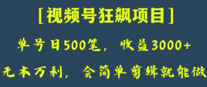 日收款500笔，纯利润3000+，视频号狂飙项目，会简单剪辑就能做【揭秘】-一米创业记