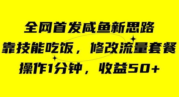 咸鱼冷门新玩法，靠“技能吃饭”，修改流量套餐，操作1分钟，收益50【揭秘】-一米创业记