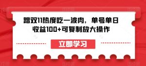 蹭双11热度吃一波肉，单号单日收益100+可复制放大操作【揭秘】-一米创业记