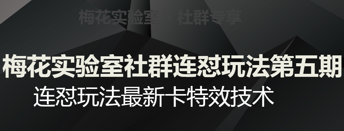 梅花实验室社群连怼玩法第五期，视频号连怼玩法最新卡特效技术-一米创业记