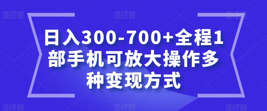 日入300-700+全程1部手机可放大操作多种变现方式【揭秘】-一米创业记