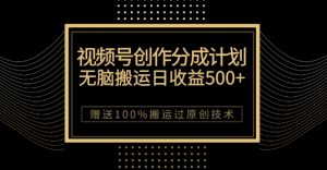 最新视频号创作分成计划，无脑搬运一天收益500+，100%搬运过原创技巧【揭秘】-一米创业记