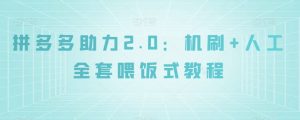 拼多多助力2.0：机刷+人工全套喂饭式教程【揭秘】-一米创业记