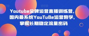 Youtube金牌运营直播训练营，国内最系统YouTuBe运营教学，掌握长期稳定流量密码-一米创业记