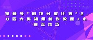 视频号“创作分成计划”2.0四大类视频制作教程+小白五技巧【揭秘】-一米创业记