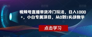 视频号直播带货冷门玩法，日入1000+，小白专属项目，从0到1实战教学【揭秘】-一米创业记