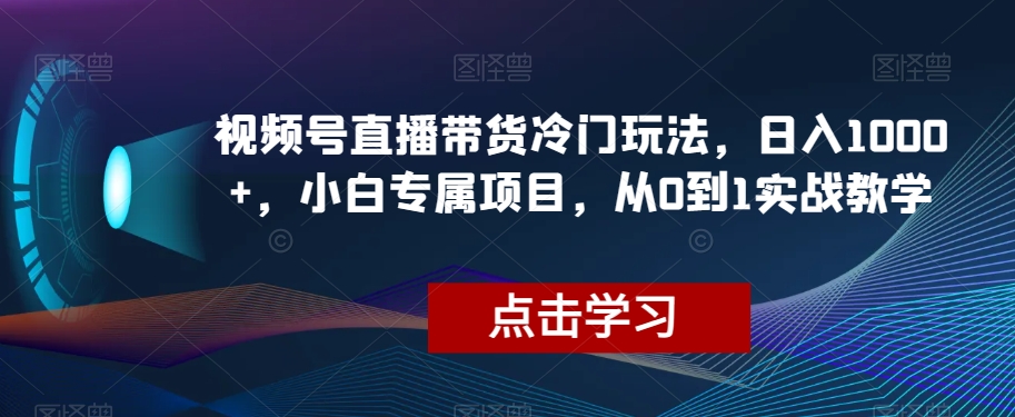视频号直播带货冷门玩法，日入1000+，小白专属项目，从0到1实战教学【揭秘】-一米创业记