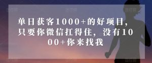 单日获客1000+的好项目，只要你微信扛得住，没有1000+你来找我【揭秘】-一米创业记
