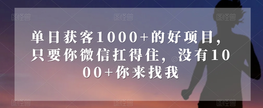 单日获客1000+的好项目，只要你微信扛得住，没有1000+你来找我【揭秘】-一米创业记