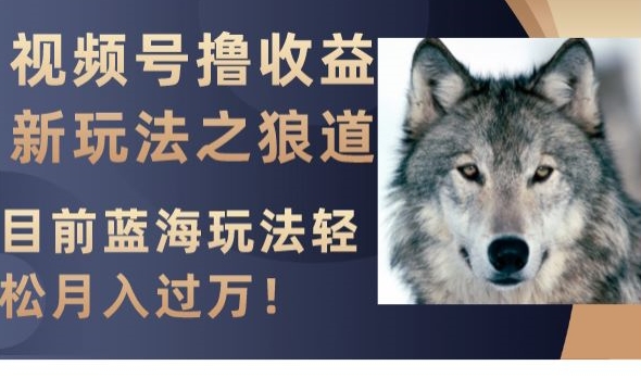 视频号撸收益新玩法之狼道，目前蓝海玩法，轻松月入过万【揭秘】-一米创业记