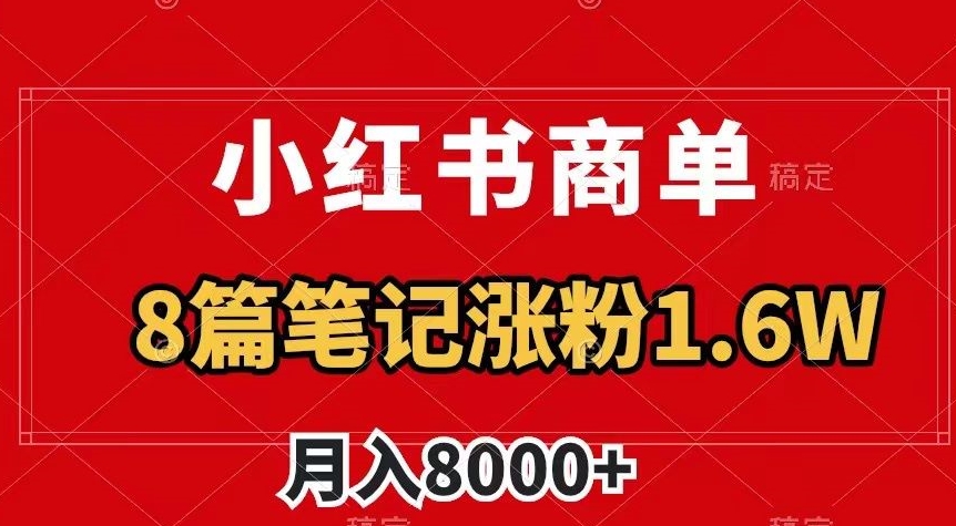 小红书商单最新玩法，8篇笔记涨粉1.6w，作品制作简单，月入8000+【揭秘】-一米创业记