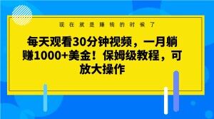 每天观看30分钟视频，一月躺赚1000+美金！保姆级教程，可放大操作【揭秘】-一米创业记