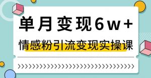 单月变现6W+，抖音情感粉引流变现实操课，小白可做，轻松上手，独家赛道【揭秘】-一米创业记