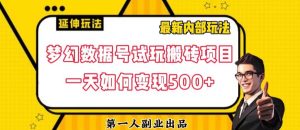 数据号回归玩法游戏试玩搬砖项目再创日入500+【揭秘】-一米创业记