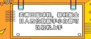 卖莆田篮球鞋，暴利掘金日入四位数新手小白都可以轻松上手【揭秘】-一米创业记