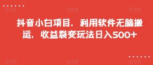 抖音小白项目，利用软件无脑搬运，收益裂变玩法日入500+【揭秘】-一米创业记