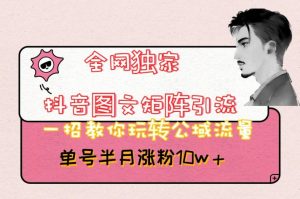 全网独家抖音图文矩阵引流，一招教你玩转公域流量，单号半月涨粉10w+【揭秘】-一米创业记