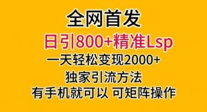 全网首发!日引800+精准老色批,一天变现2000+,独家引流方法,可矩阵操作【揭秘】-一米创业记