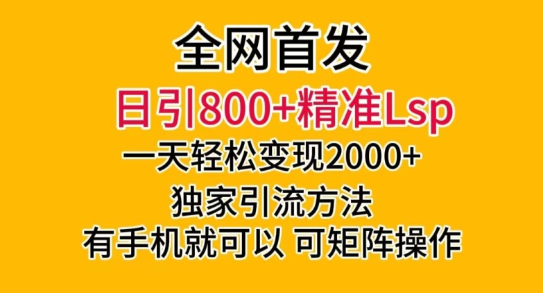 全网首发！日引800+精准老色批，一天变现2000+，独家引流方法，可矩阵操作【揭秘】-一米创业记