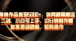 单条作品变现5000+、外网视频搬运二创，小白可上手，10分钟制作爆款高原创视频，矩阵操作【揭秘】-一米创业记