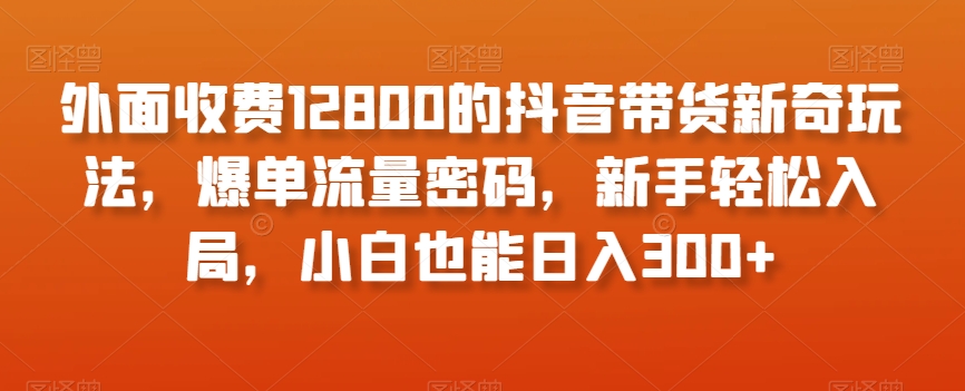 外面收费12800的抖音带货新奇玩法，爆单流量密码，新手轻松入局，小白也能日入300+【揭秘】-一米创业记