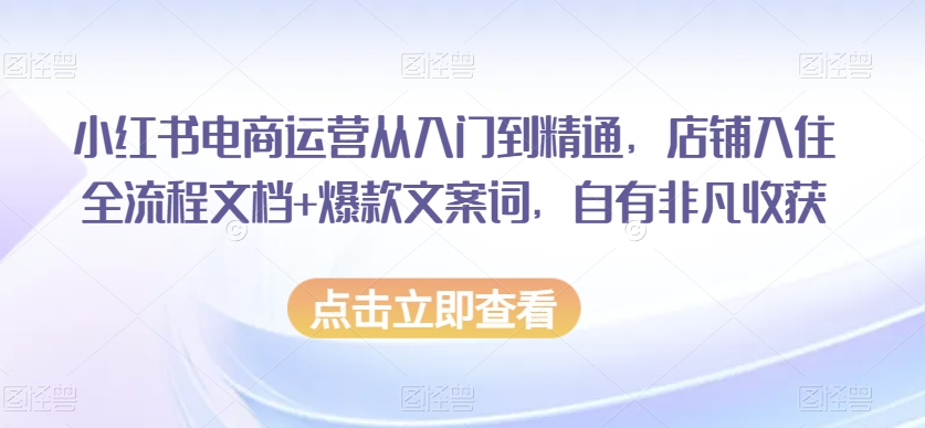 小红书电商运营从入门到精通，店铺入住全流程文档+爆款文案词，自有非凡收获-一米创业记