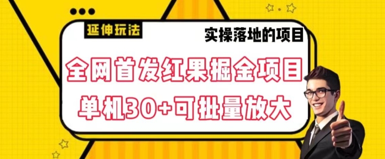 全网首发红果免费短剧掘金项目，单机30+可批量放大【揭秘】-一米创业记