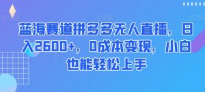 蓝海赛道拼多多无人直播，日入2600+，0成本变现，小白也能轻松上手【揭秘】-一米创业记