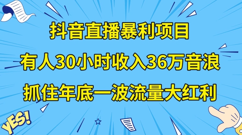 抖音直播暴利项目,有人30小时收入36万音浪,公司宣传片年会视频制作,抓住年底一波流量大红利【揭秘】-一米创业记