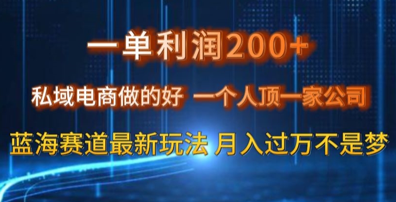 一单利润200私域电商做的好，一个人顶一家公司蓝海赛道最新玩法【揭秘】-一米创业记