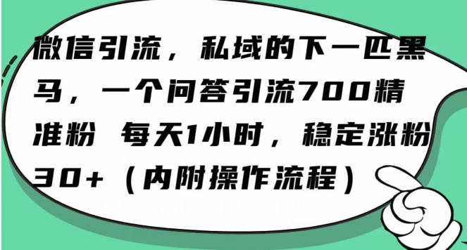 怎么搞精准创业粉？微信新赛道，每天一小时，利用Ai一个问答日引100精准粉-一米创业记