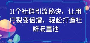 11个社群引流秘诀，让用户裂变倍增，轻松打造社群流量池-一米创业记