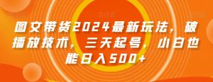 图文带货2024最新玩法，破播放技术，三天起号，小白也能日入500+【揭秘】-一米创业记