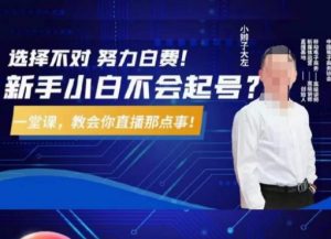 大左教您从0到1做直播带货，选择不对，努力白费，5小时课程搞定那点事，解决你起号问题-一米创业记