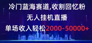 冷门蓝海赛道，收割回忆粉，无人挂机直播，单场收入轻松2000-5w+【揭秘】-一米创业记