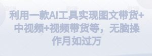 利用一款AI工具实现图文带货+中视频+视频带货等，无脑操作月如过万【揭秘】-一米创业记