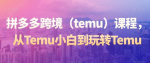 拼多多跨境（temu）课程，从Temu小白到玩转Temu-一米创业记