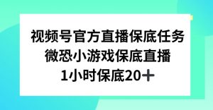 视频号直播任务，微恐小游戏，1小时20+【揭秘】-一米创业记