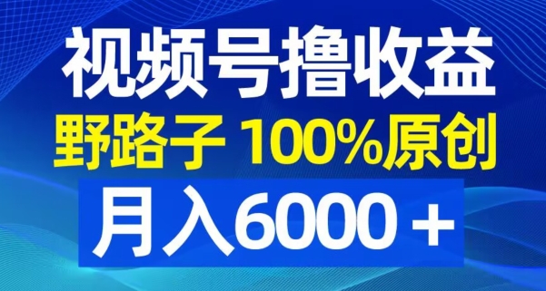 视频号野路子撸收益，100%原创，条条爆款，月入6000＋【揭秘】-一米创业记
