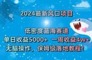 2024最新风口项目，低密度蓝海赛道，单日收益5000+，一周收益4w+！【揭秘】-一米创业记