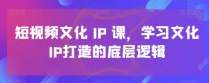 短视频文化IP课，学习文化IP打造的底层逻辑-一米创业记