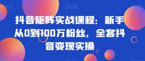 抖音矩阵实战课程：新手从0到100万粉丝，全套抖音变现实操-一米创业记