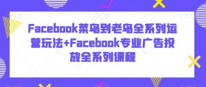Facebook菜鸟到老鸟全系列运营玩法+Facebook专业广告投放全系列课程-一米创业记