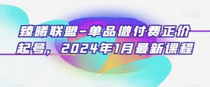 臻曦联盟-单品微付费正价起号，2024年1月最新课程-一米创业记