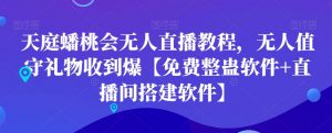 天庭蟠桃会无人直播教程，无人值守礼物收到爆【免费整蛊软件+直播间搭建软件】-一米创业记